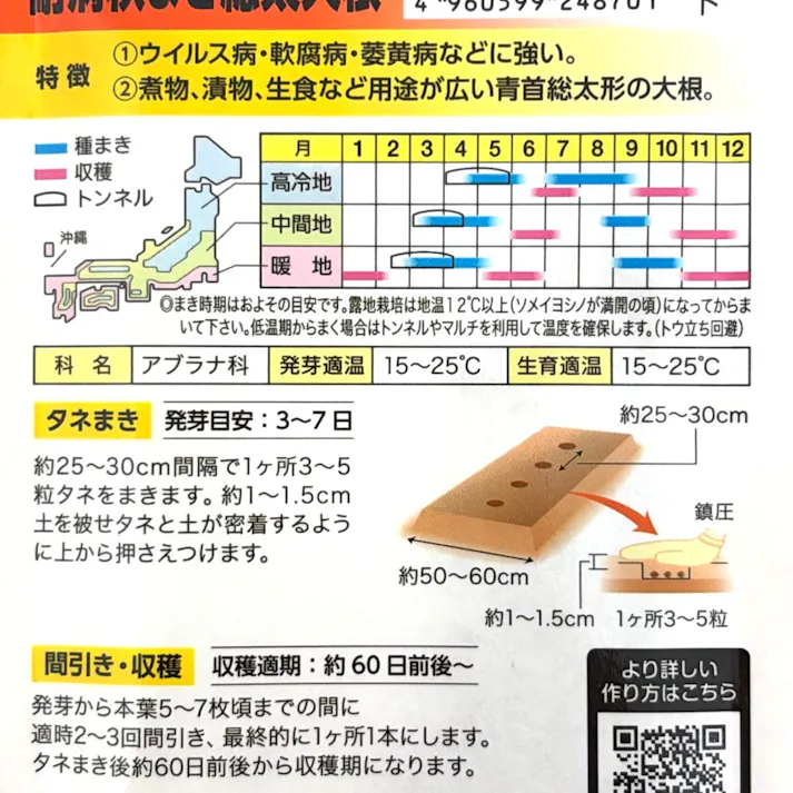 交配耐病 秋まき総太大根