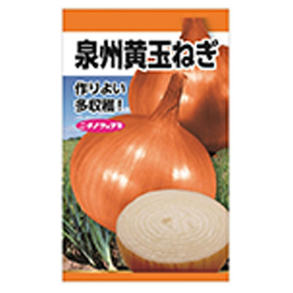 玉ねぎ 泉州黄玉葱(販売終了) | 花＆グリーン 通販 | ホームセンターの