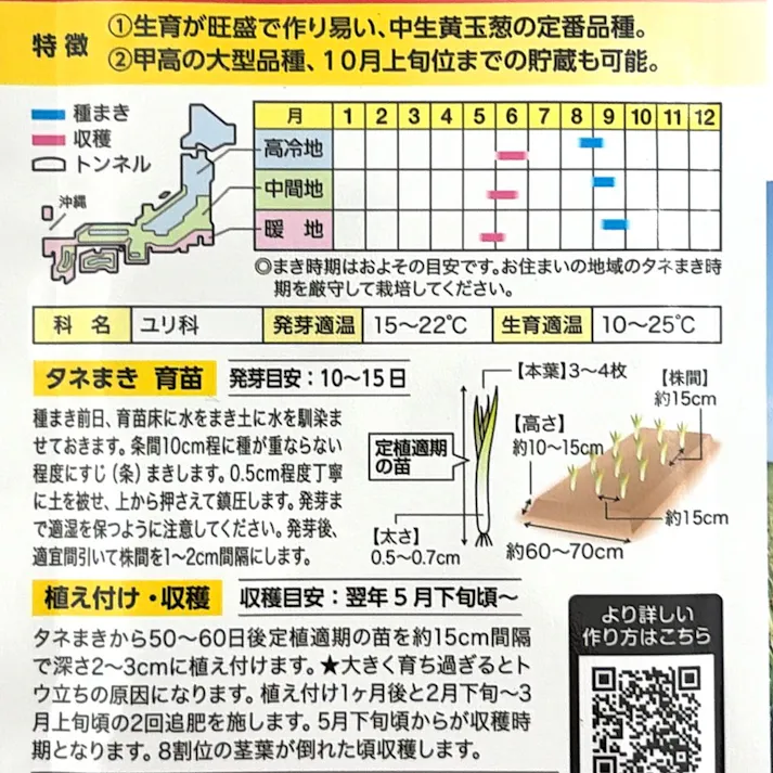 泉州黄玉ねぎ お徳用パック