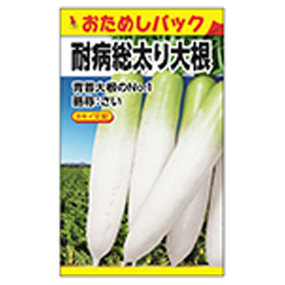 耐病総太大根 おためしパック
