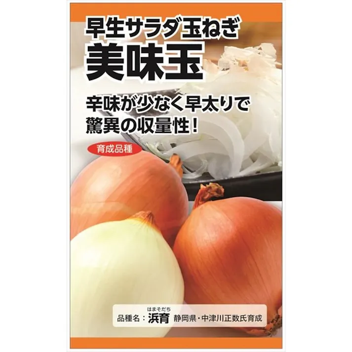 早生玉ねぎ 美実玉