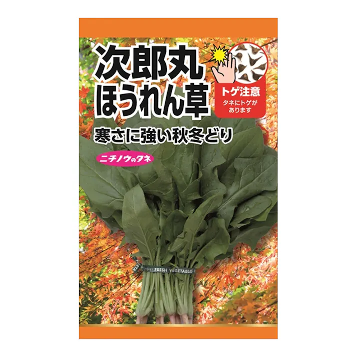 次郎丸ほうれん草