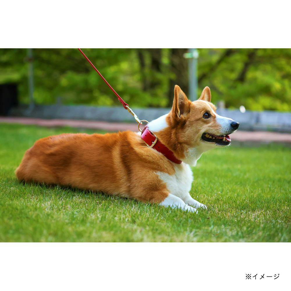 マイスタープラスレザーカラー＃24レッド | ペット用品（犬） 通販