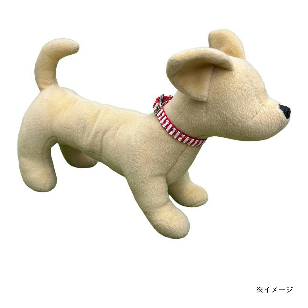 スターピンカラー10 S ボーダーレッド | ペット用品（犬） 通販