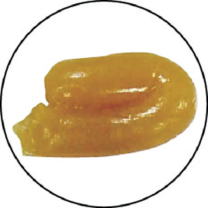 【CAINZ-DASH】エーゼット 袋入りシャーシーグリース 400g F770【別送品】