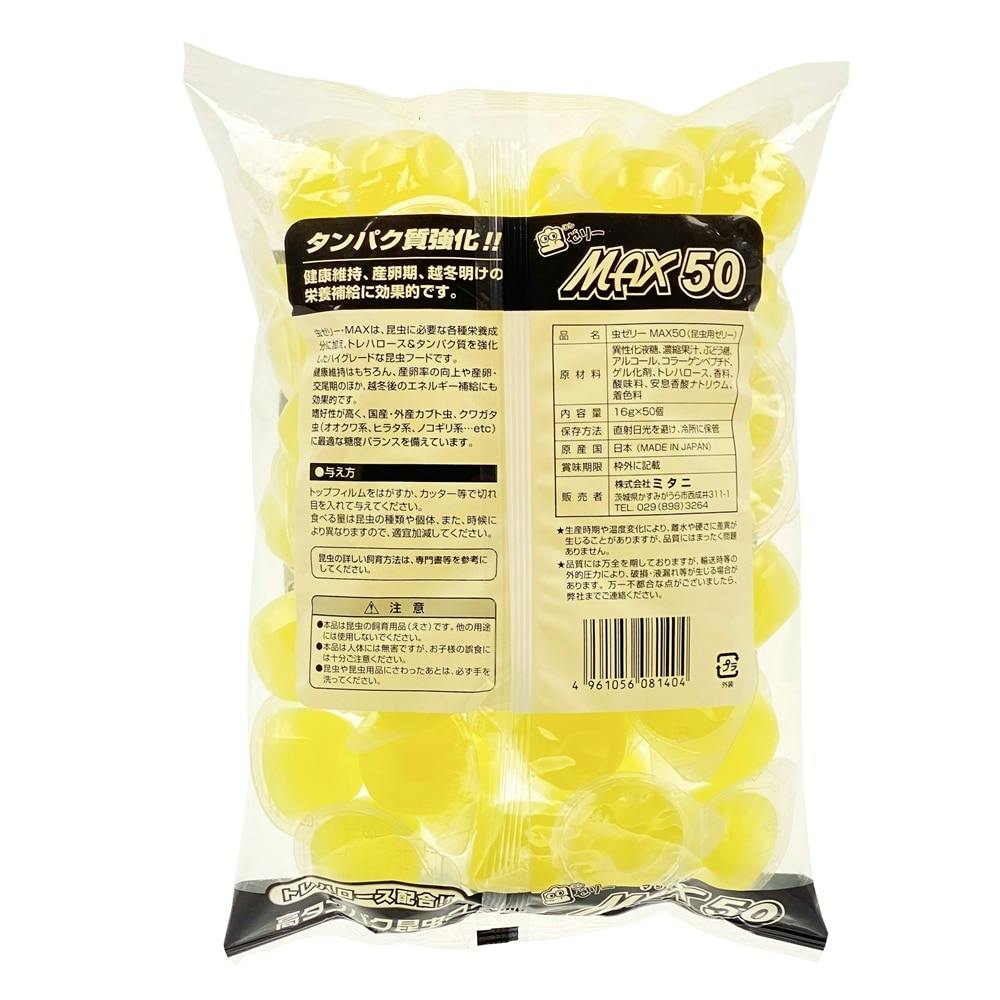 ★新品未使用品‼️オータニ昆虫館SEMI ・セミ★入手難※希少★ ☆新品未使用品‼️オータニ昆虫館SEMI ・セミ☆入手難※希少
