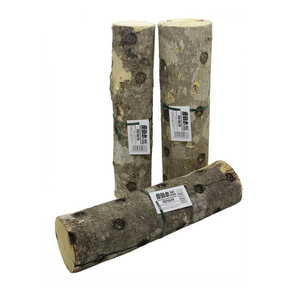 産卵木 ロング M