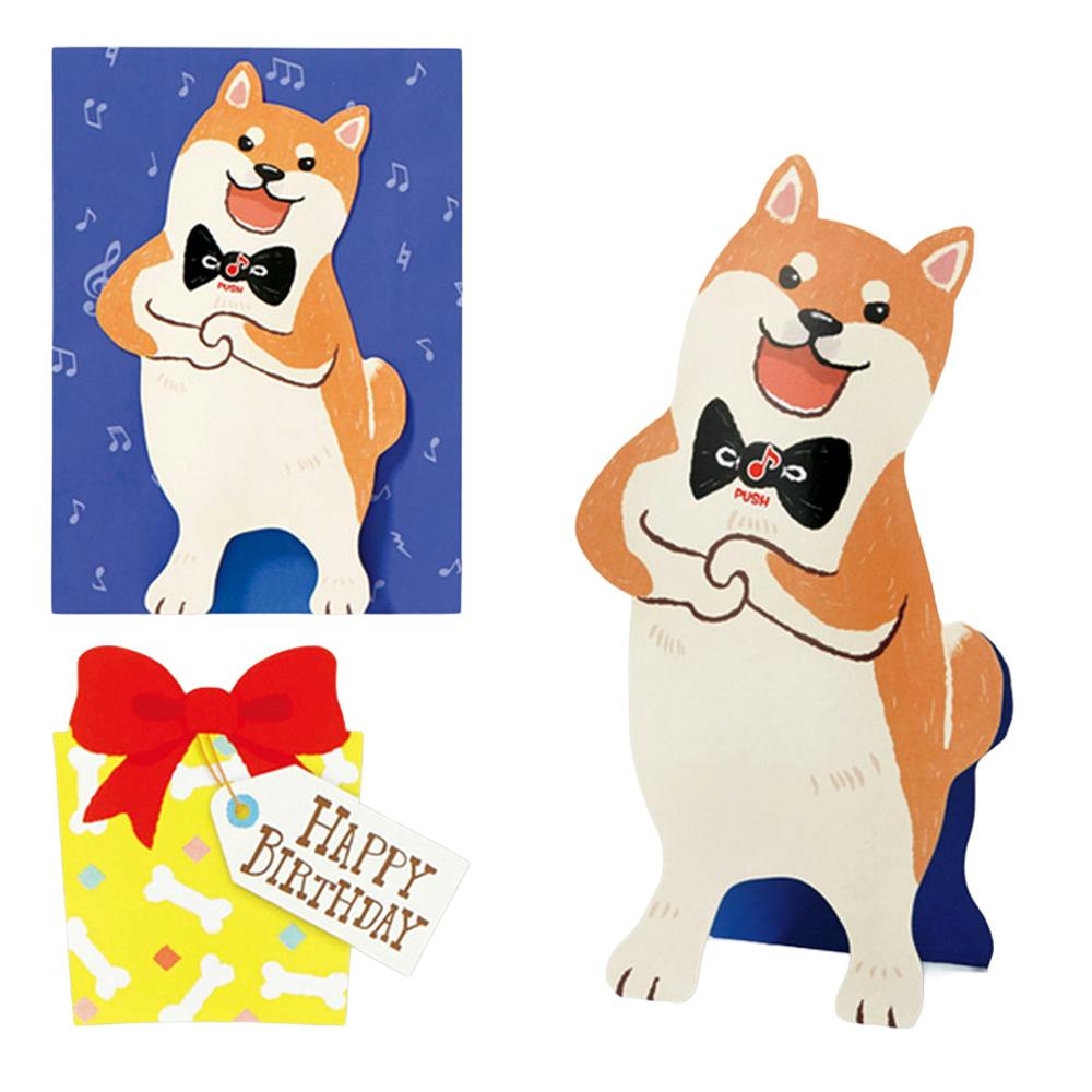 {z[}[N aJ[h IyCk2 E͂E^[pi