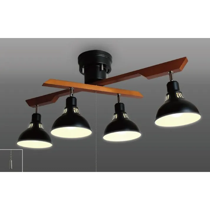 タキズミ ロッドスポット 電球色 ブラック DN4021RSBK