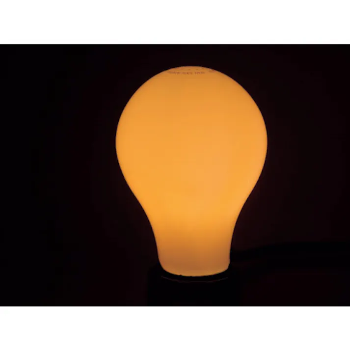 【CAINZ-DASH】東京メタル工業 フィラメント形LED電球 LDA2L-GW20W-TM【別送品】