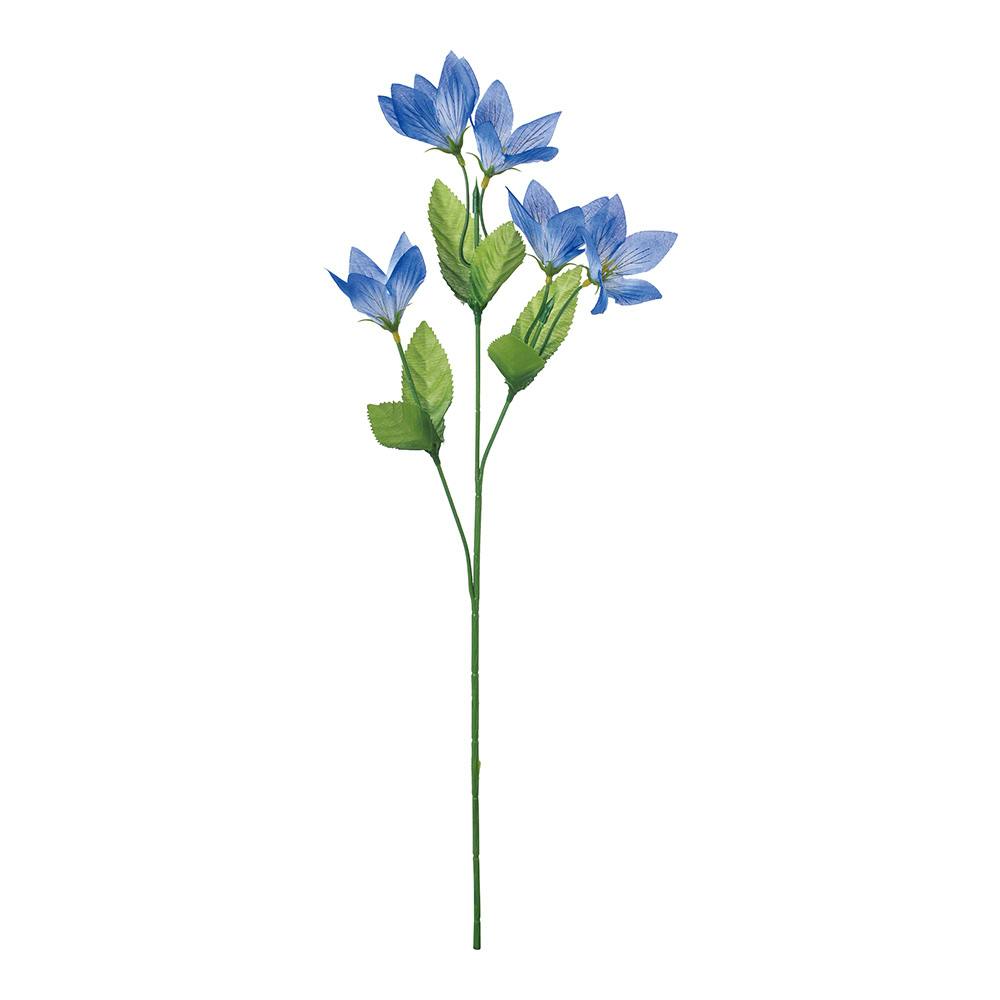 キキョウ　ＢＬＵ