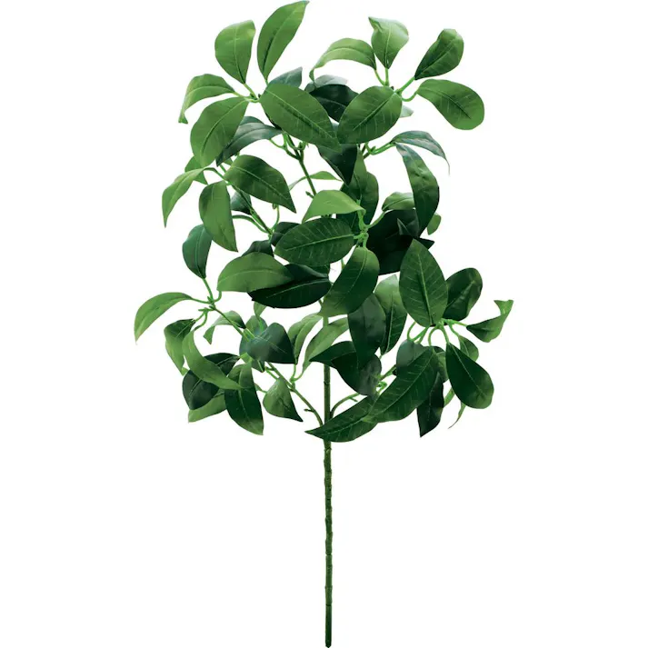 シキビ M グリーン FG -5323