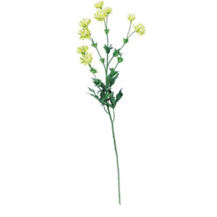 FA-6250 GR アストランティア