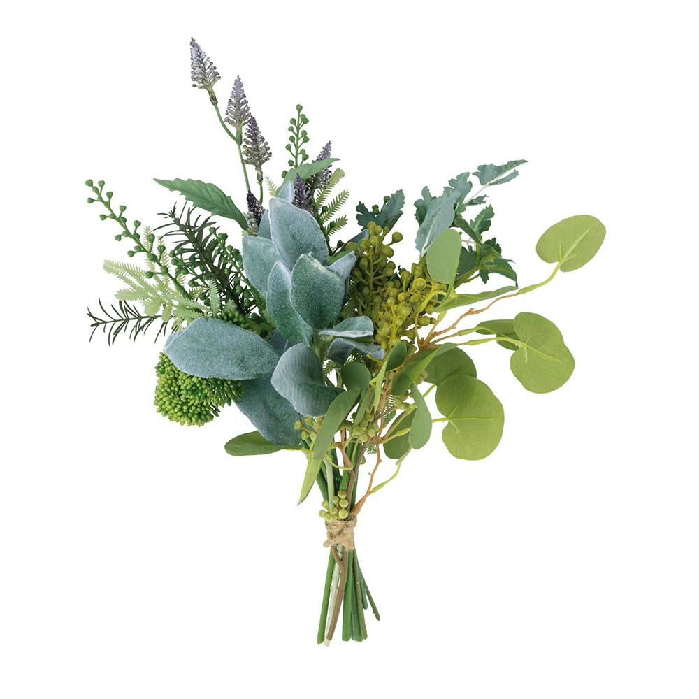 アロカシア 13種セット アロカシア 13種セット