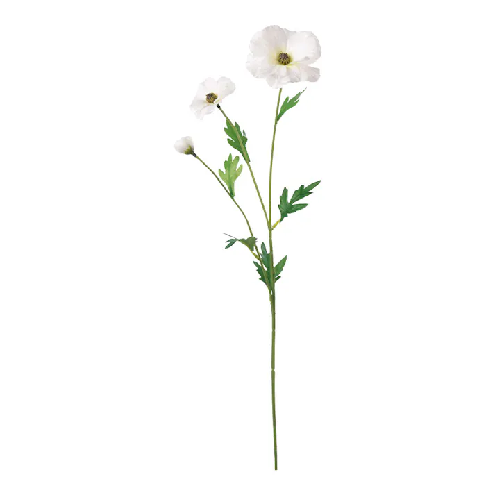 リュクスラナンキュラススプレー ホワイト