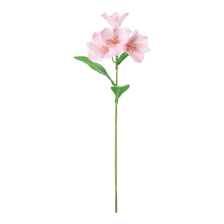 アルストロメリア ピンク FF-3061