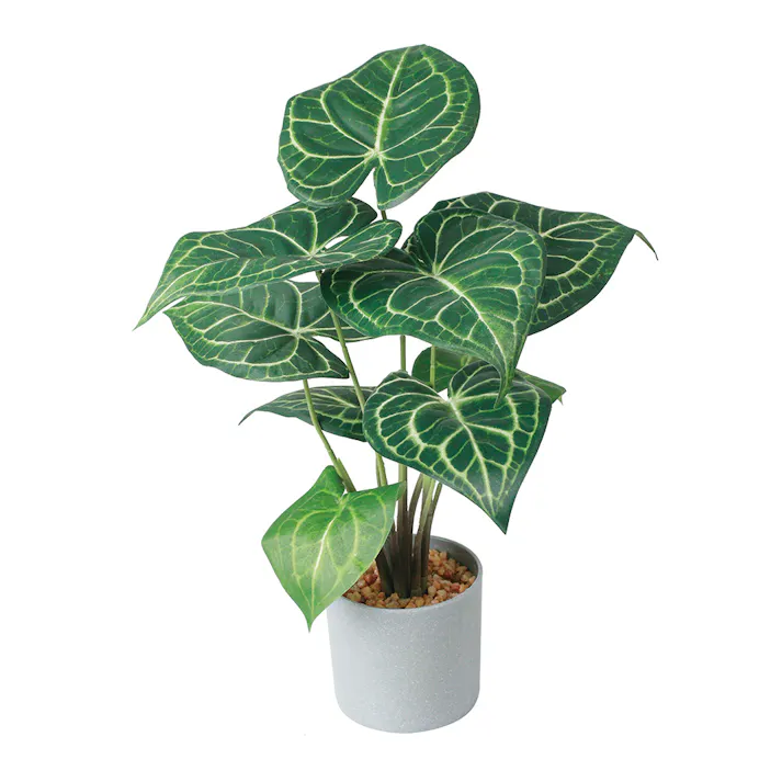 クラリネルビウムポット GLA-1555 グリーン