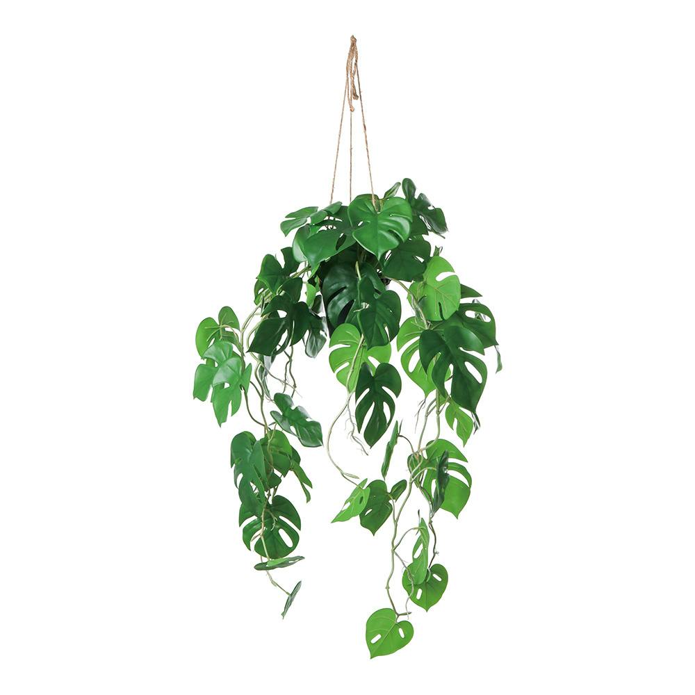 ロックプランツ ポトス S GL-MB020 | 花＆グリーン 通販