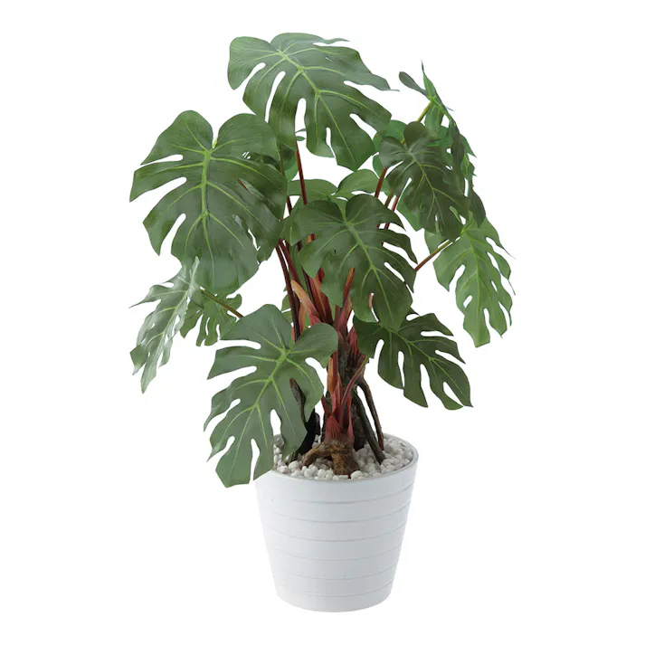 人工観葉 モンステラポット