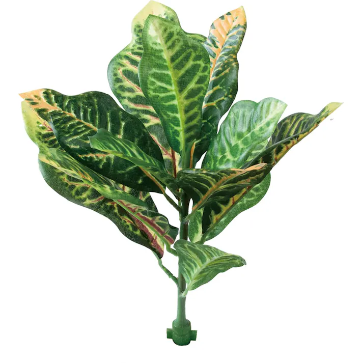 ロックプランツ クロトン GL-MB010