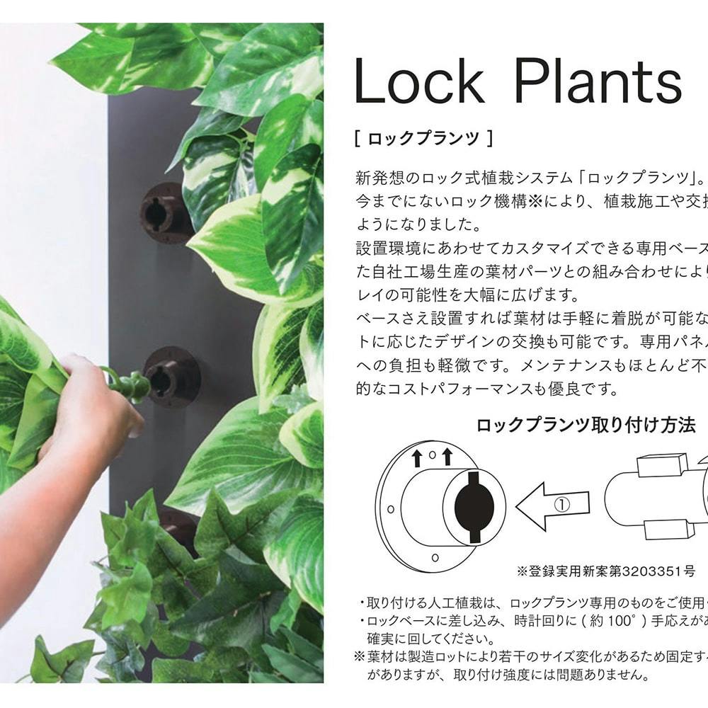 ロックプランツ クロトン GL-MB010 | 花＆グリーン 通販