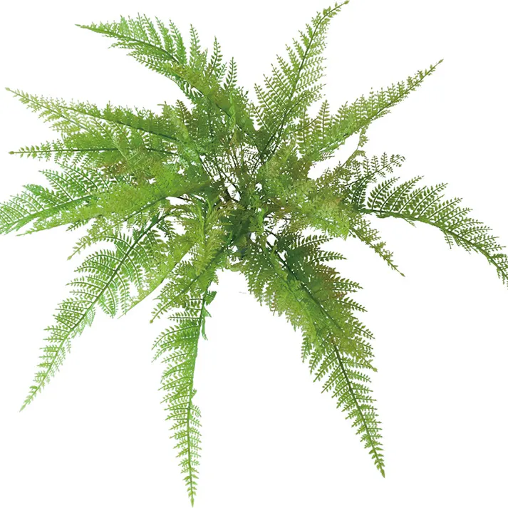 ロックプランツ ファーン GL-MB026