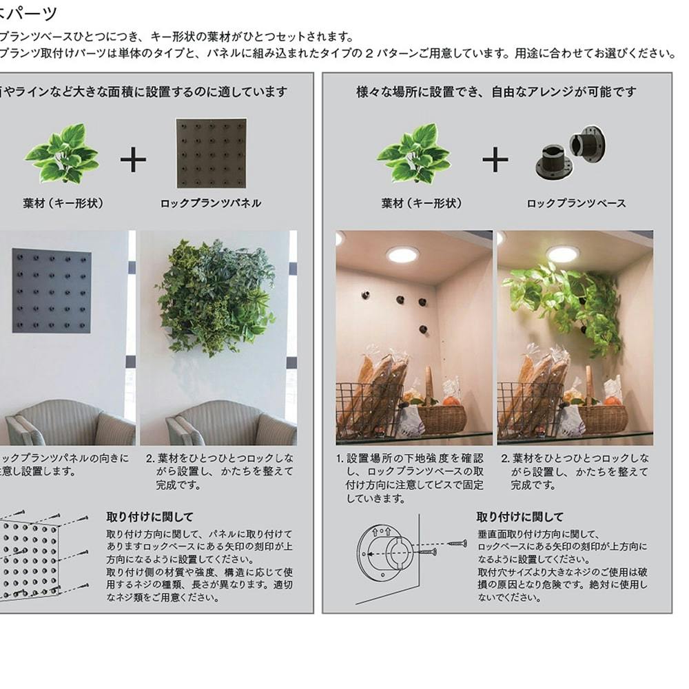 ロックプランツ ドラセナ GL-MB027 | 花＆グリーン 通販