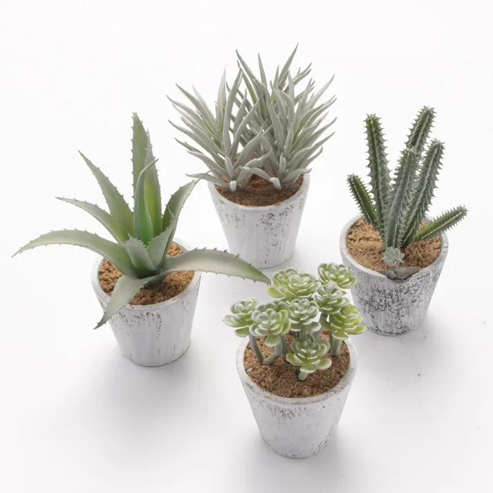 カクタスコンテナ アソート GLA-1261