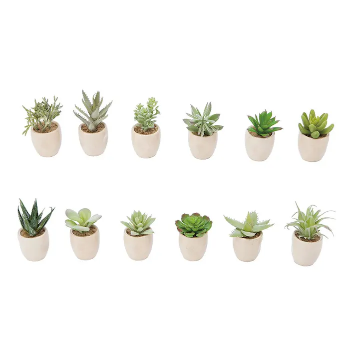 カクタスコンテナ GLA-1262