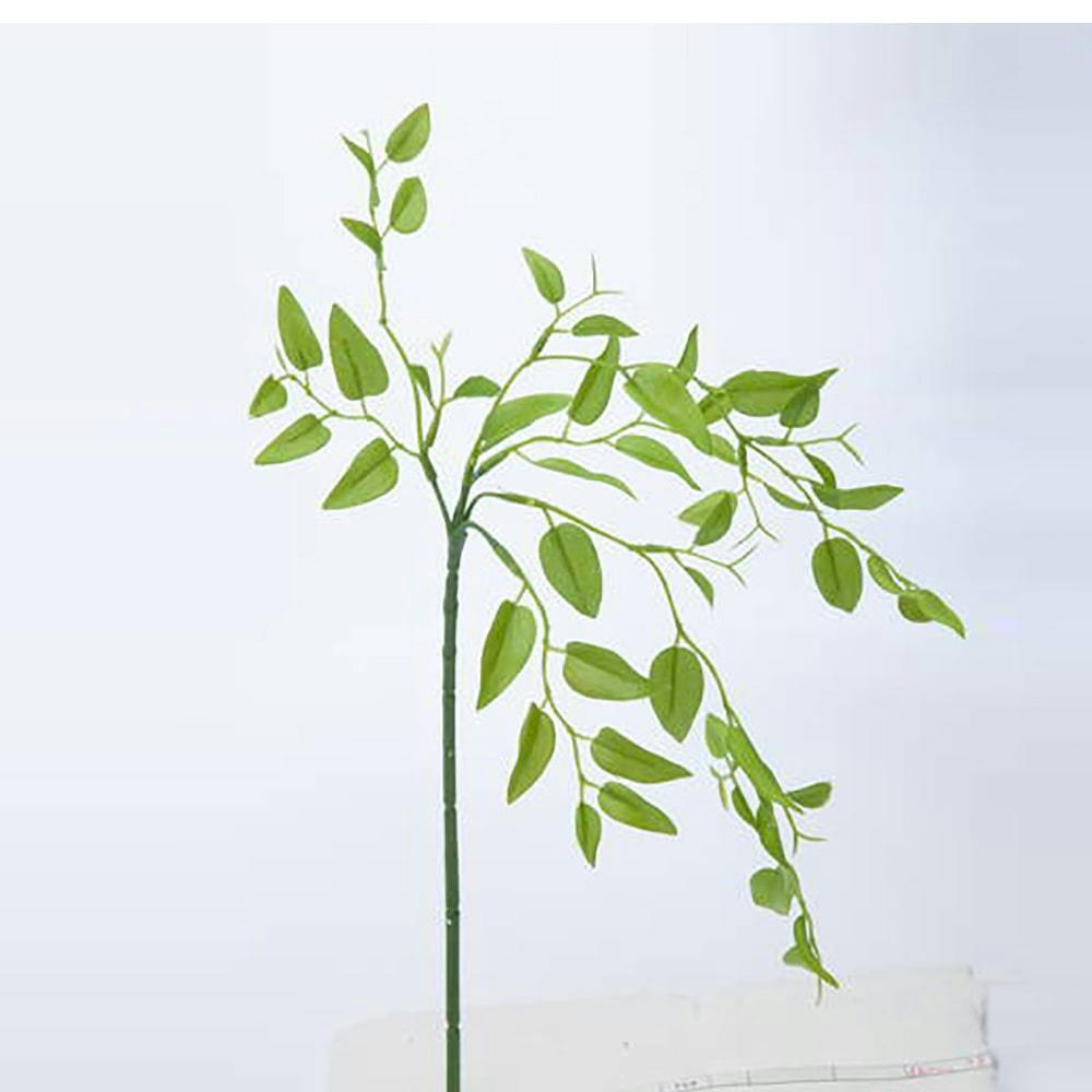 スマイラックス ライトグリーン