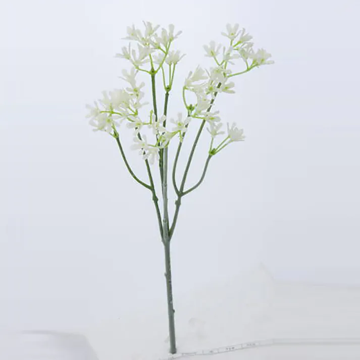 ベビーブレス ホワイト