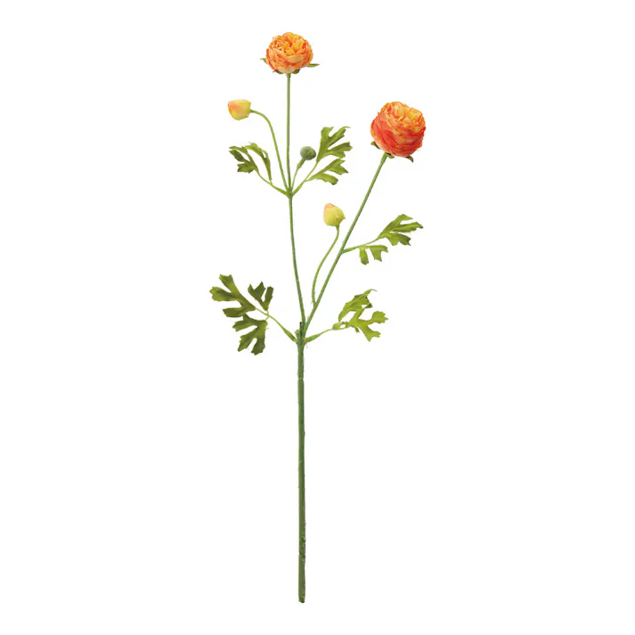 レアードラナンキュラススプレー ライトオレンジ