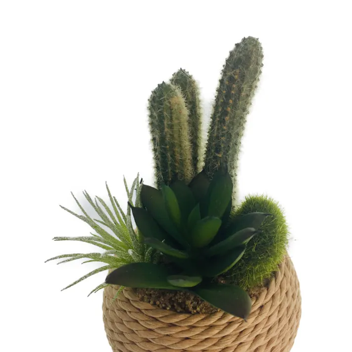 セダムロープポット GLA-1325 グリーン