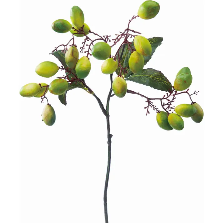 オリーブブランチ グリーン FG -4826