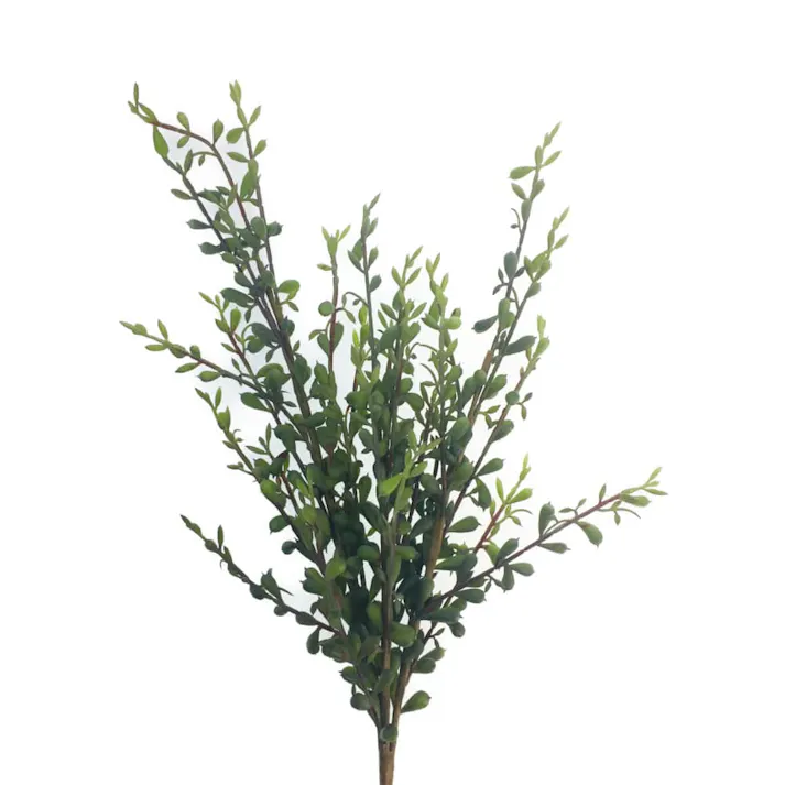 ミカヅキネックレス GL-5196 W/G