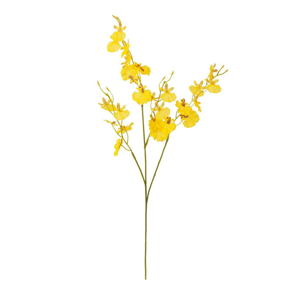 オンシジューム(販売終了)