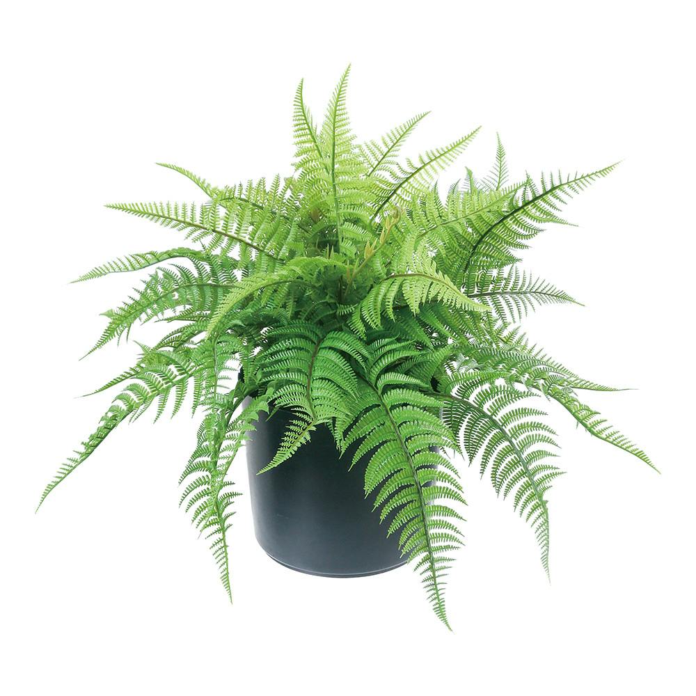 ファーンポット GLA-1517GR