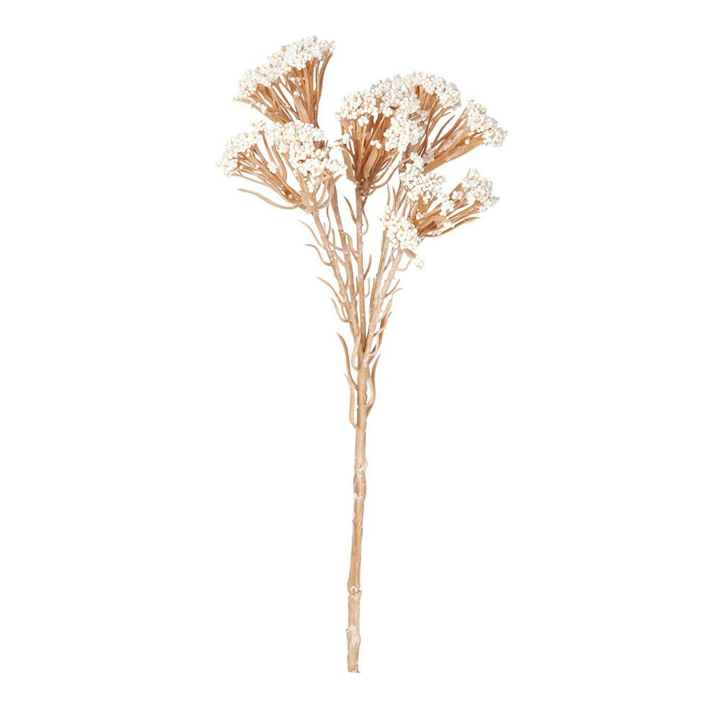 アルストロメリア オレンジ FF-3061 | 花＆グリーン 通販