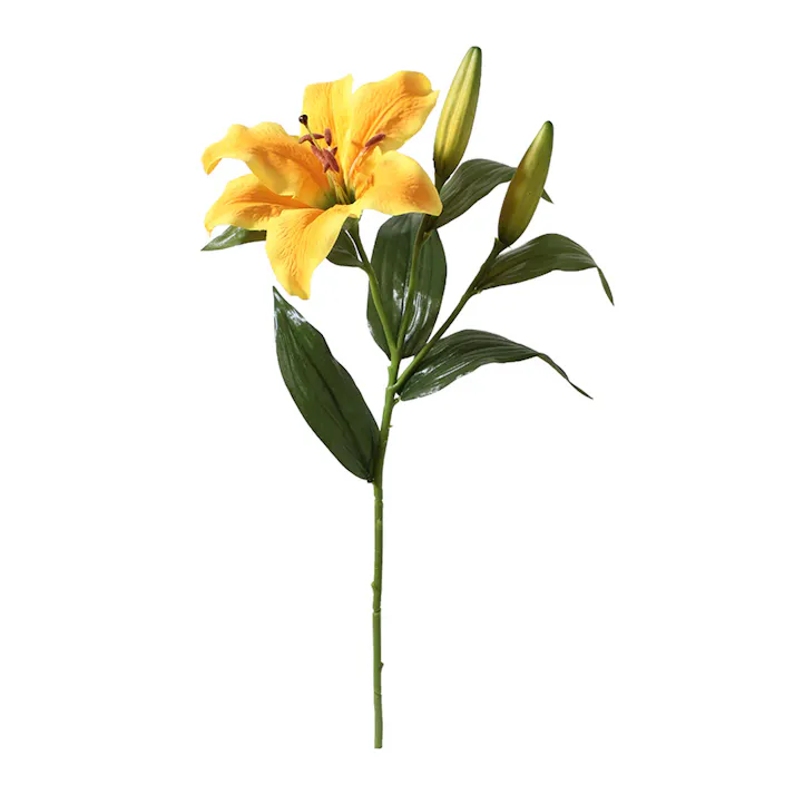 シングルカサブランカ