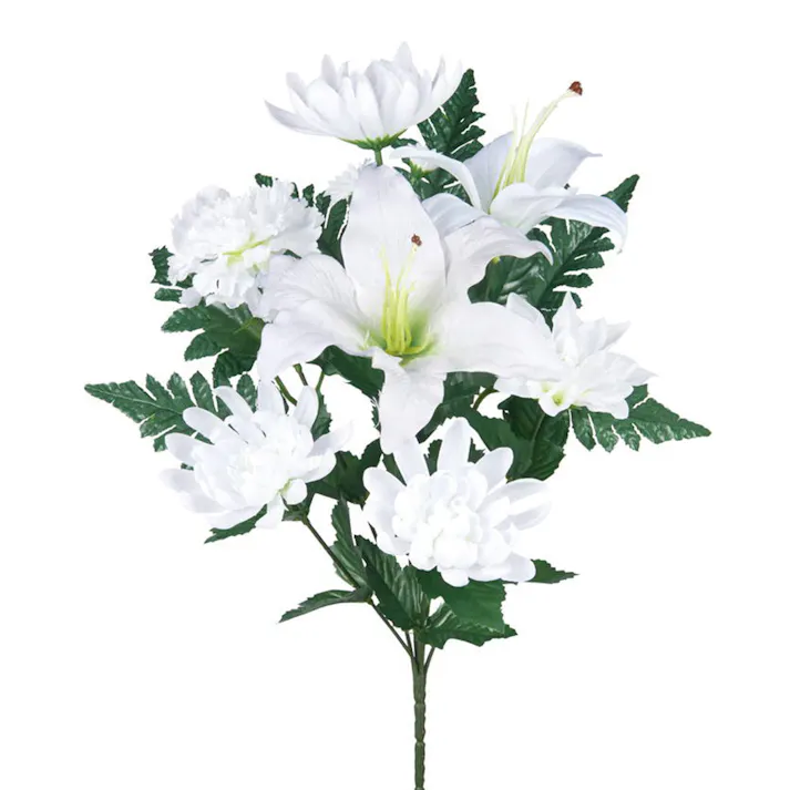 ブッカブッシュ L