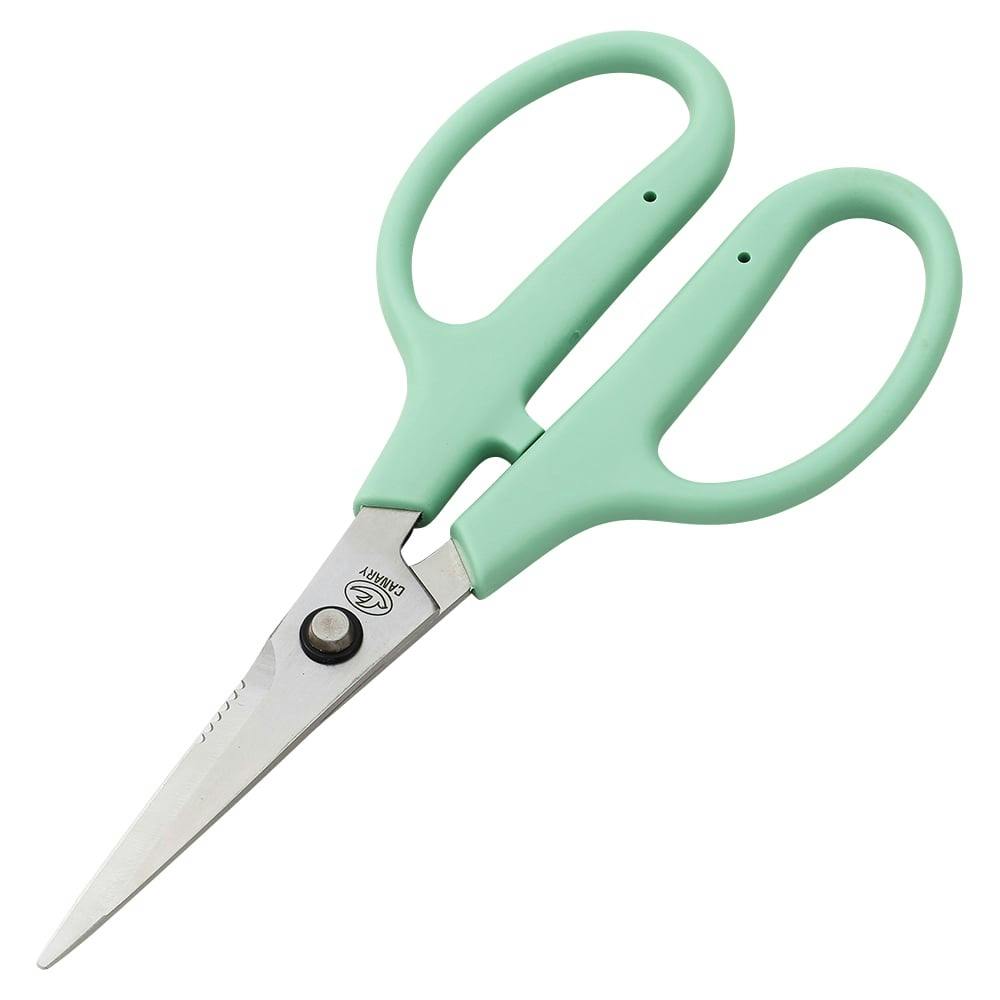 CANARY Ntgp HT-175 nT~