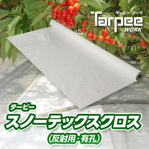 CAINZ-DASH】萩原工業 ターピー スノーテックスクロス（果樹反射用