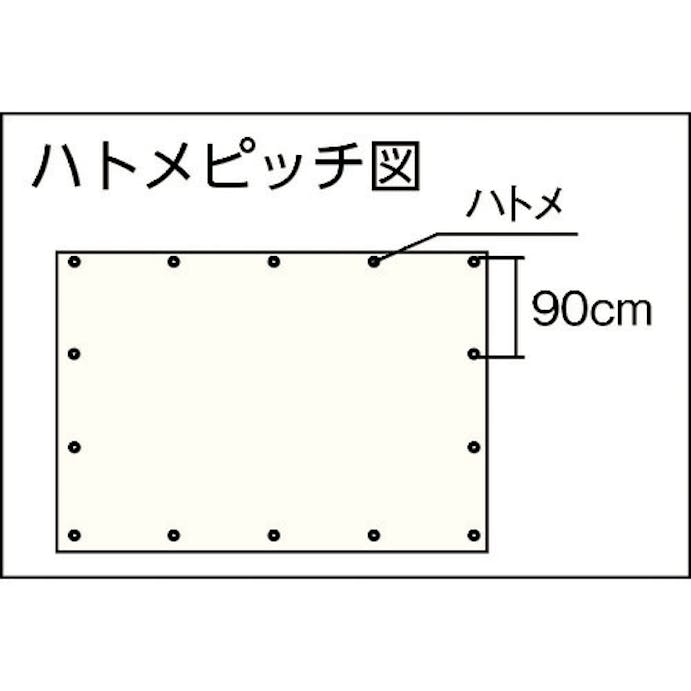 【CAINZ-DASH】萩原工業 スケルクリアシート（糸入り透明シート）　１．８×２．７ｍ【別送品】