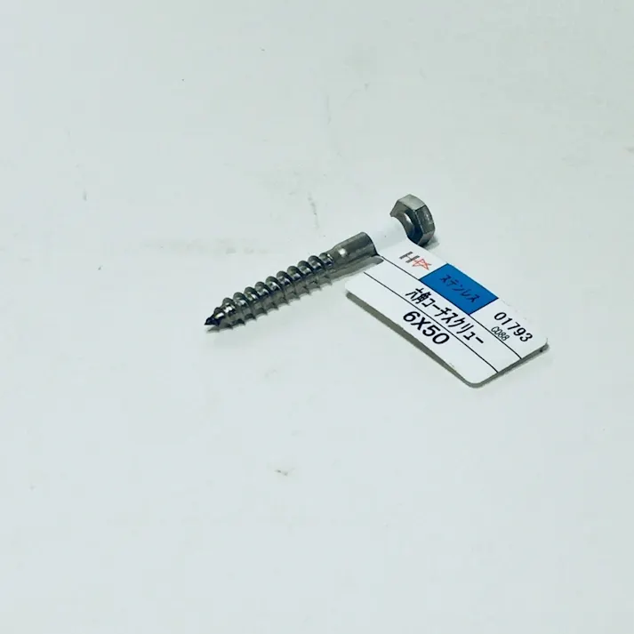 コーチスクリュー ステンレス 6×50mm
