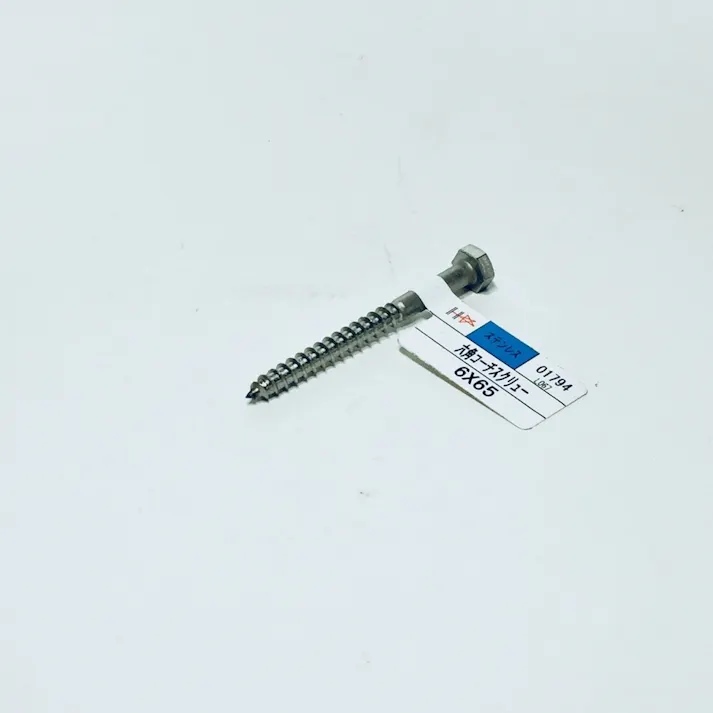 コーチスクリュー ステンレス 6×65mm