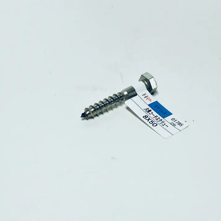 コーチスクリュー ステンレス 8×50mm