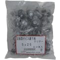 【CAINZ-DASH】ダイドーハント 波板取付ビス　鉄下地用　５Ｘ２５　クリアー（５０本入） 10102404【別送品】