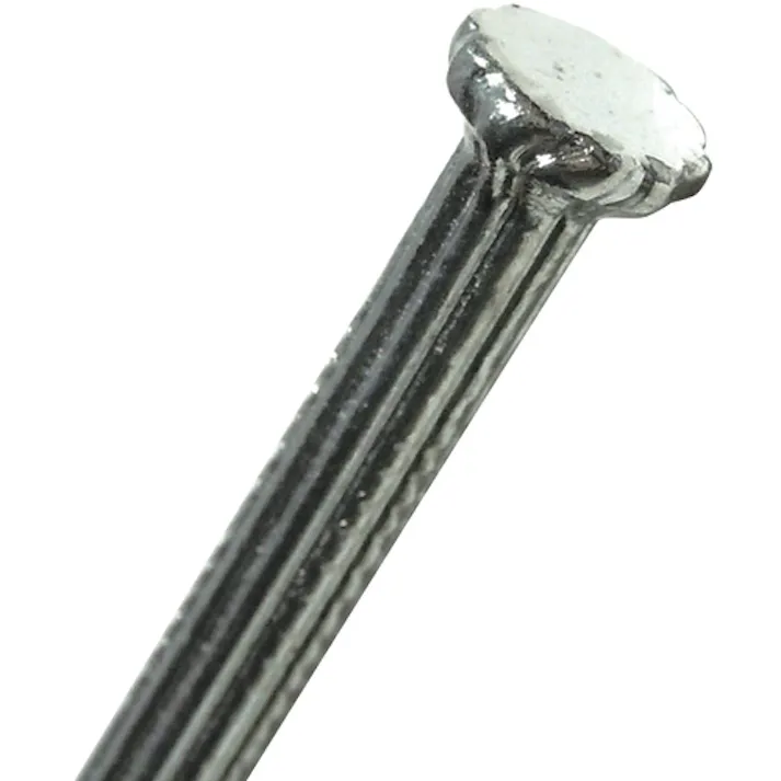 【CAINZ-DASH】ダイドーハント コンクリート釘 500g 2.77×32 00021041【別送品】