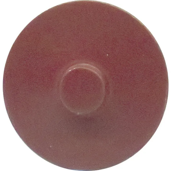 【CAINZ-DASH】ダイドーハント カラー傘釘 20本入 ♯13×41 ワインレッド 10176074【別送品】