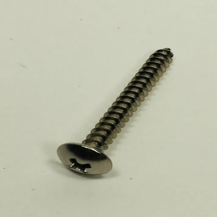 ステンレス タッピング トラス PP 4×35mm 35本